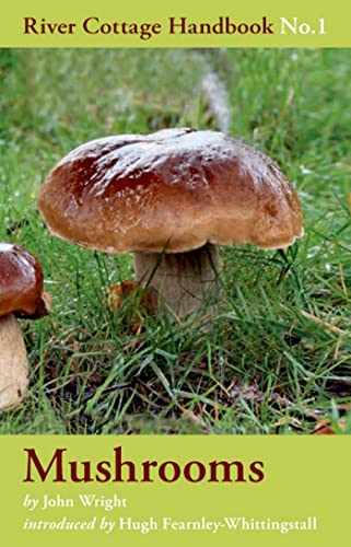 Mushrooms: River Cottage Handbook No.1 von Bloomsbury Publishing
